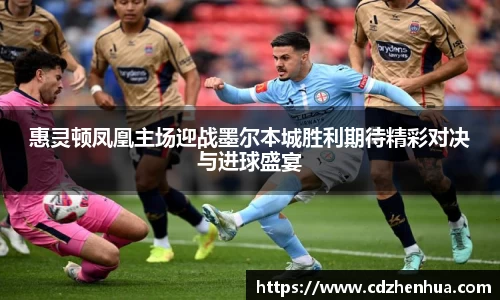 惠灵顿凤凰主场迎战墨尔本城胜利期待精彩对决与进球盛宴